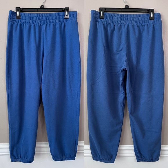 J.Crew Factory Blue Sweatpant Joggers - Picture 2 of 5